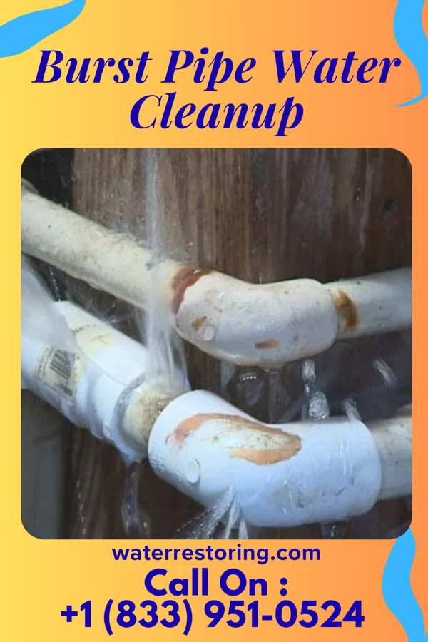 Burst Pipe Water Cleanup in Oceanport, NJ