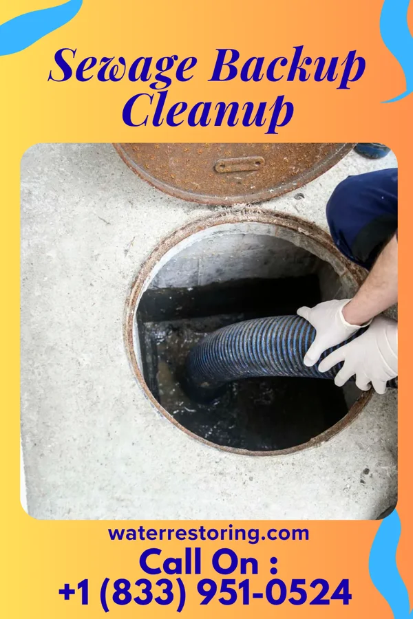 Sewage Backup Cleanup in Oceanport, NJ