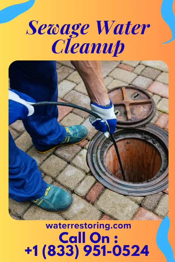 Sewage Water Cleanup in Oceanport, NJ