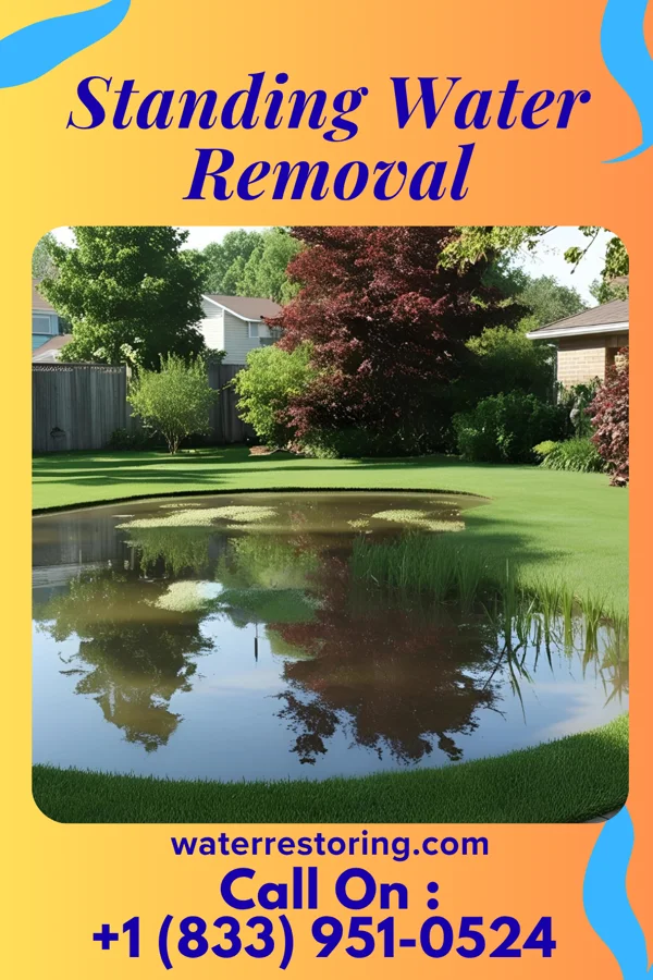 Standing Water Removal in Oceanport, NJ